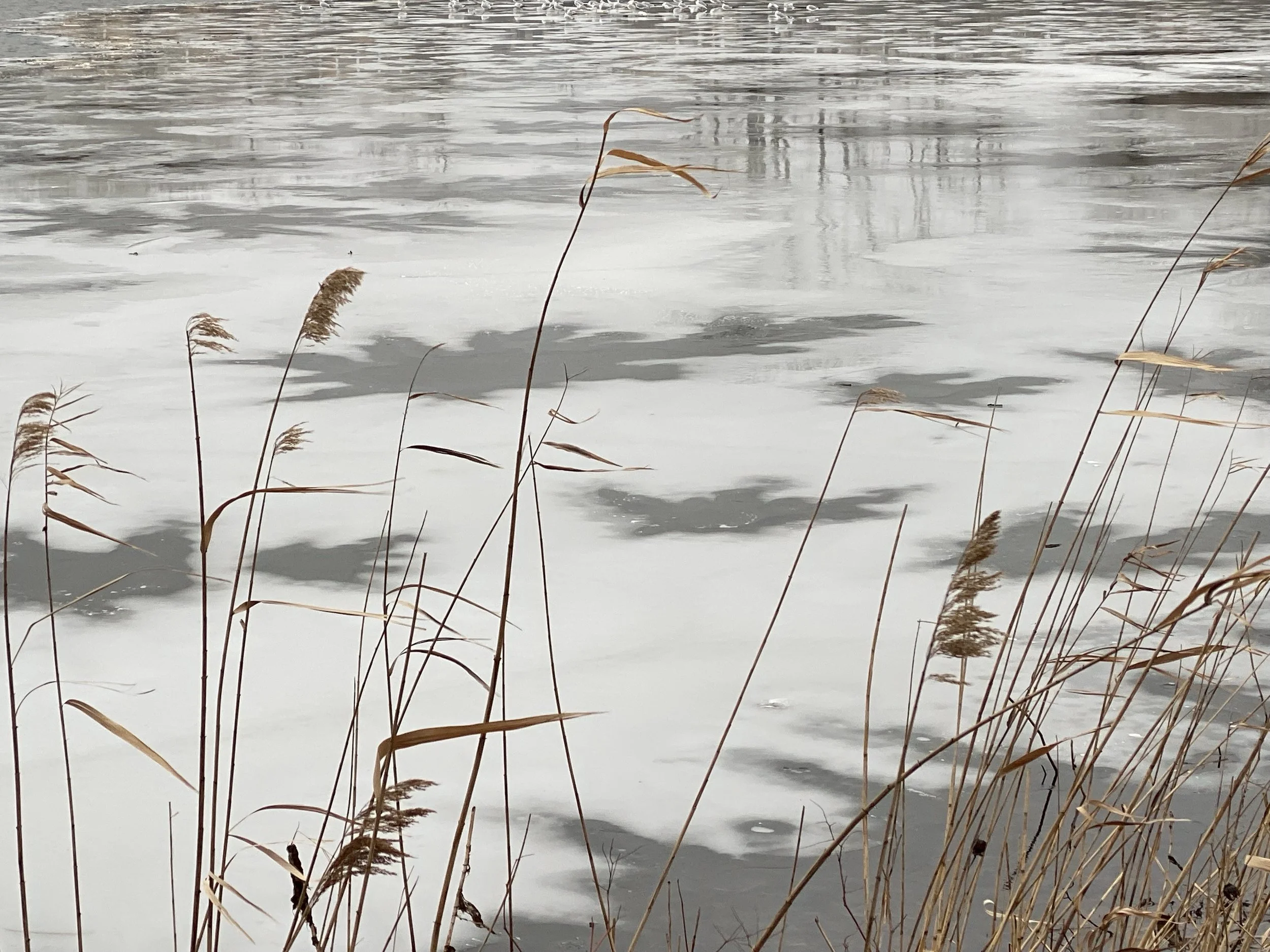 Frosting on the Surface
