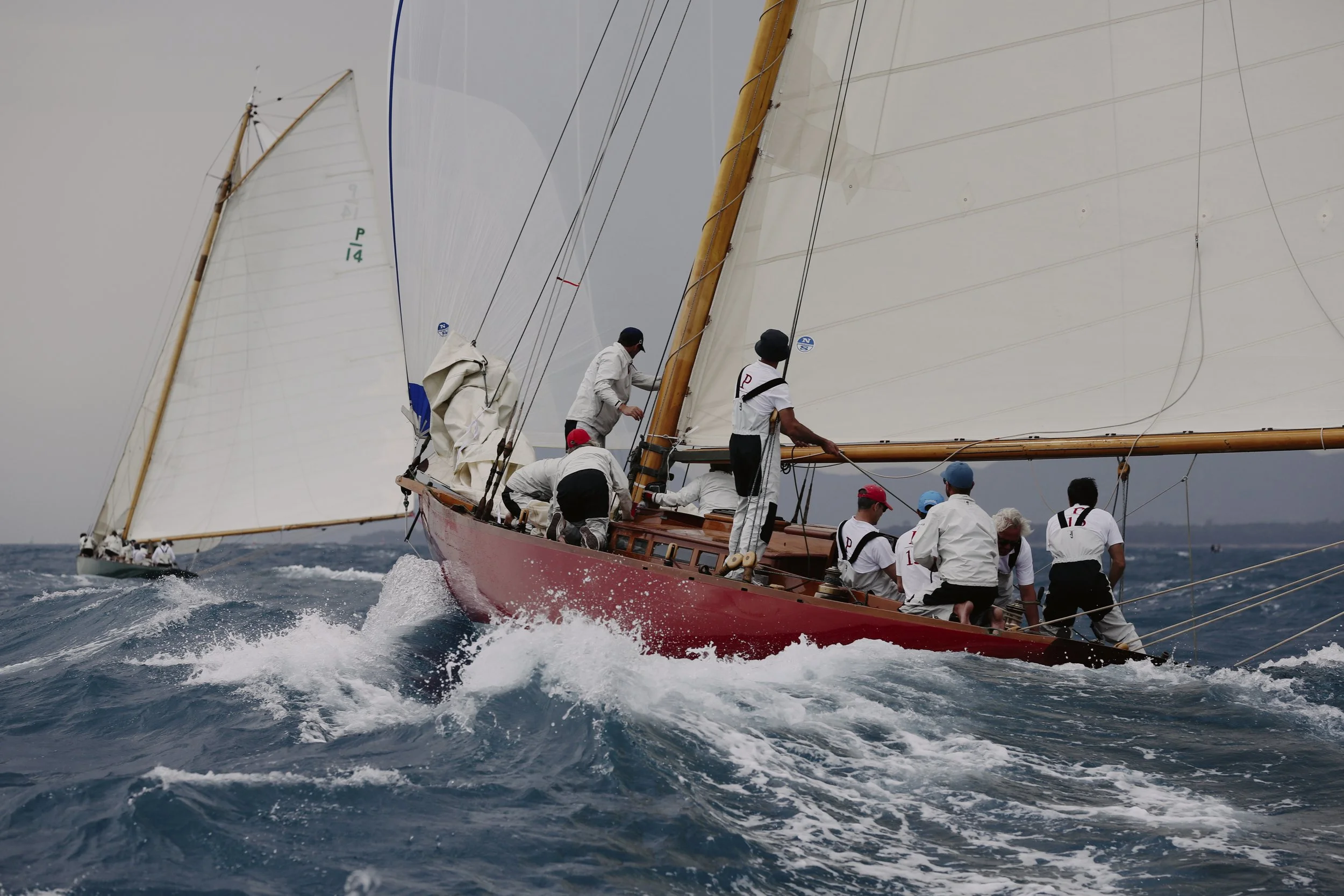 OF6B2452 15-10-24 edit C1.jpg