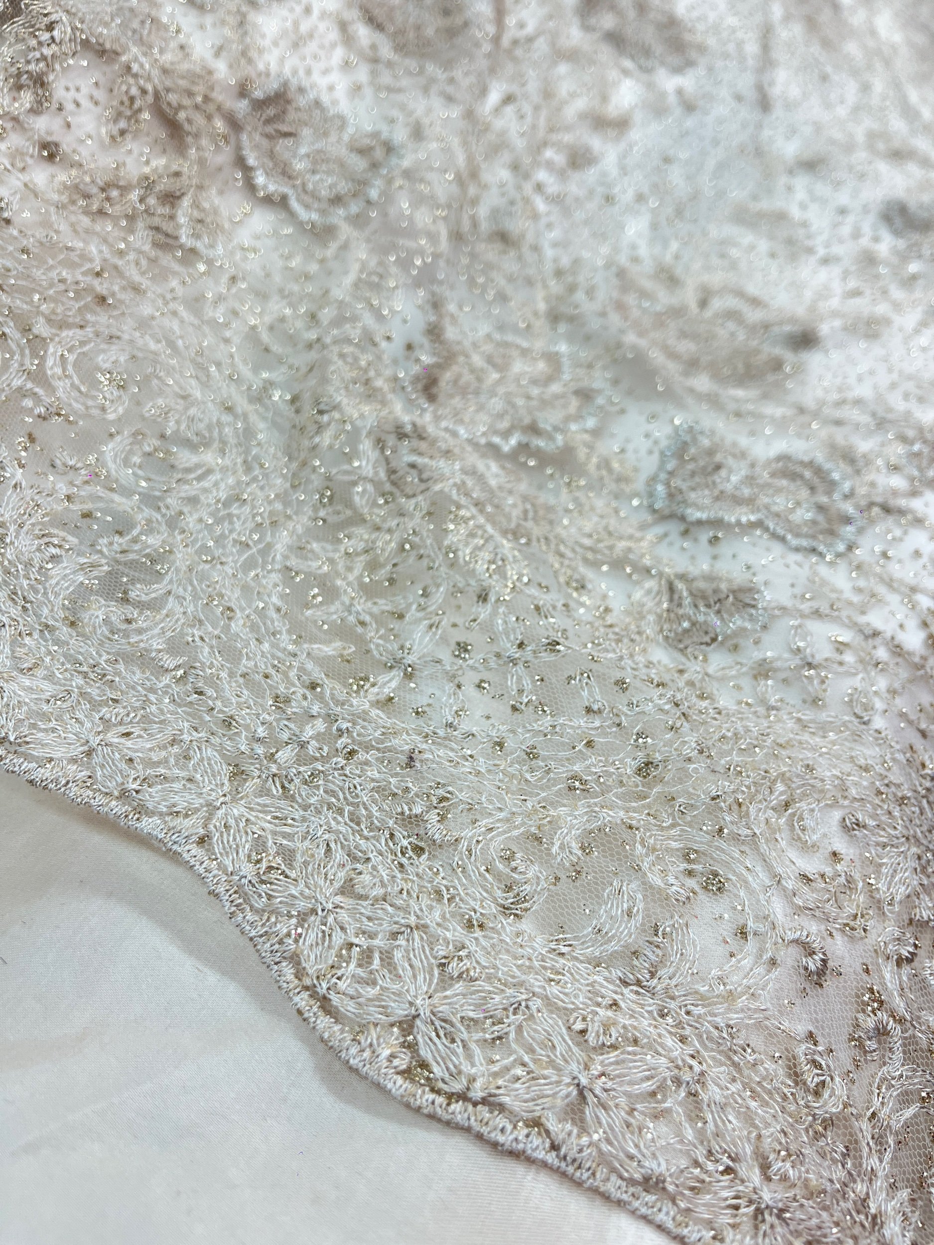 Tulle blanc cassé brodé pailleté-bordure