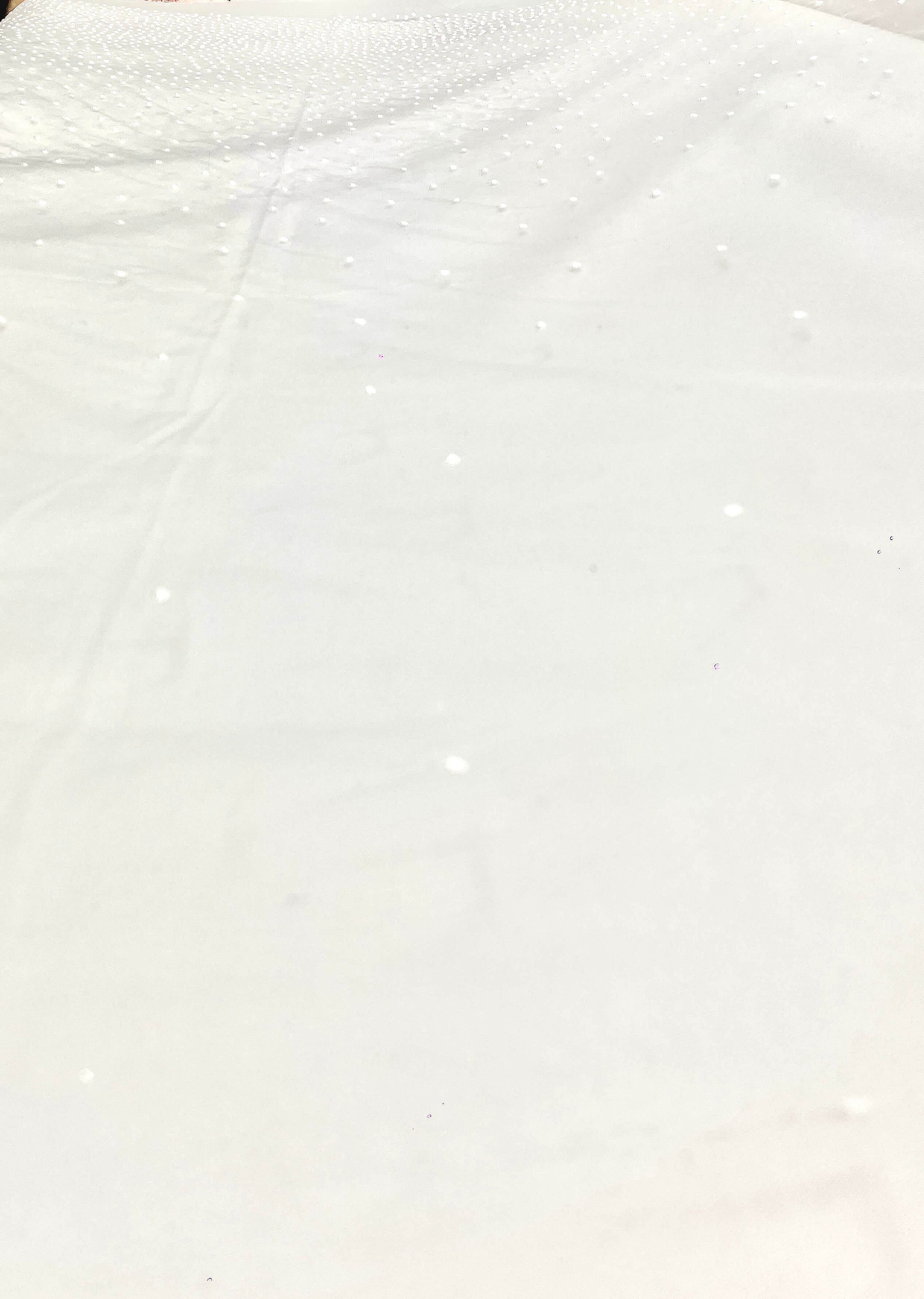 Tulle brodé blanc cassé motif à pois-gros plan
