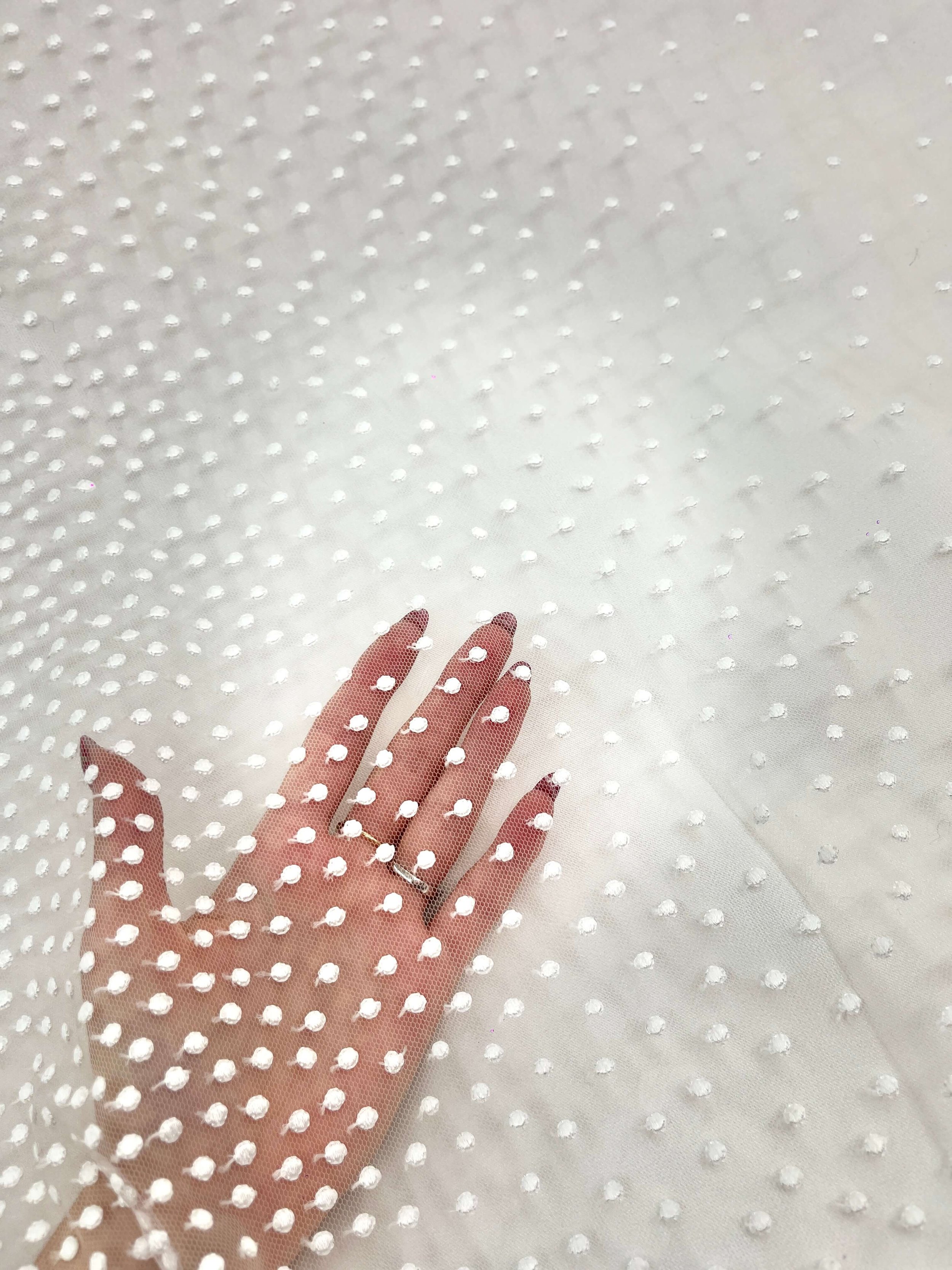 Tulle brodé blanc cassé motif à pois-transparence