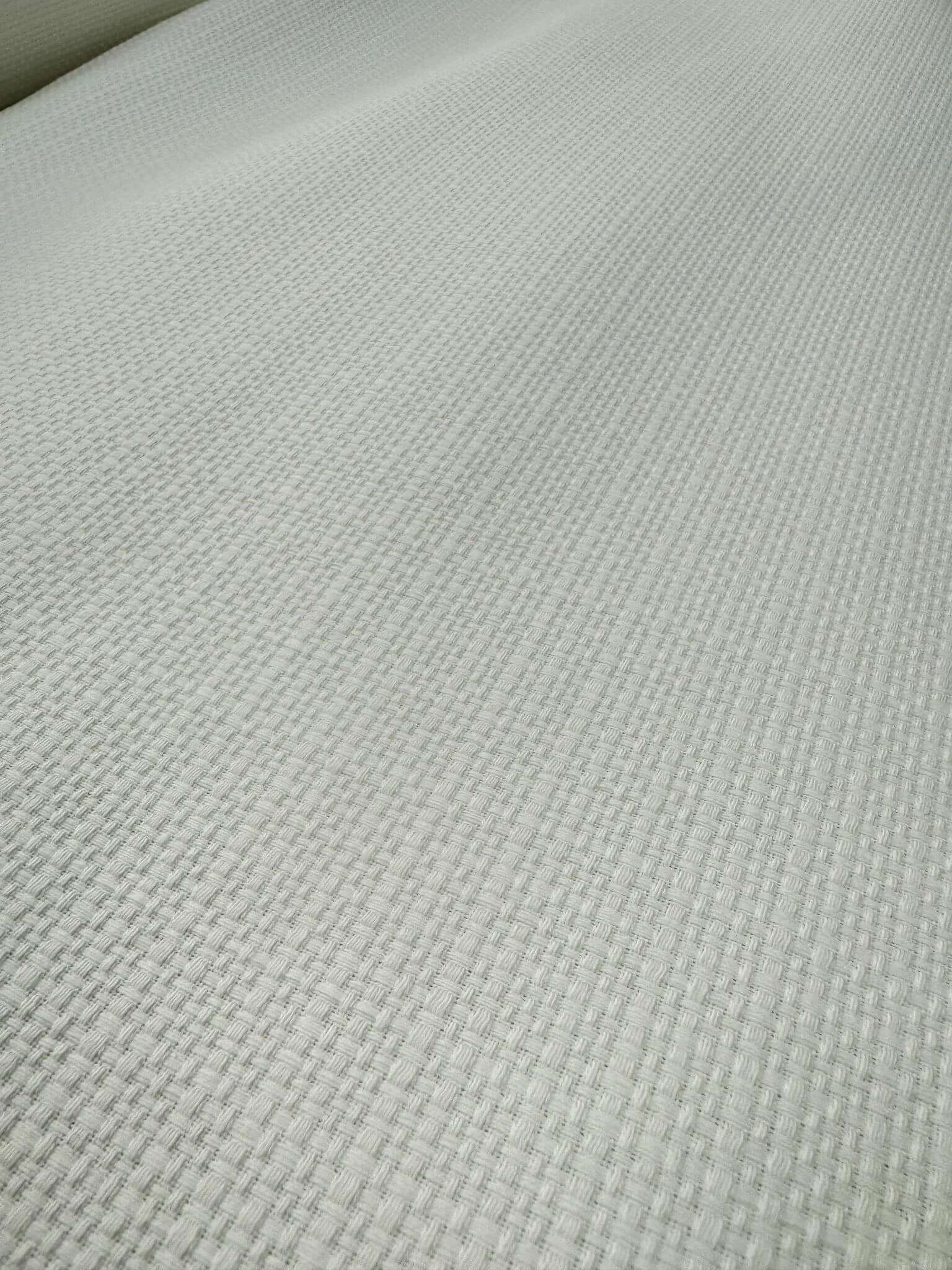 Piqué de coton blanc cassé-entier