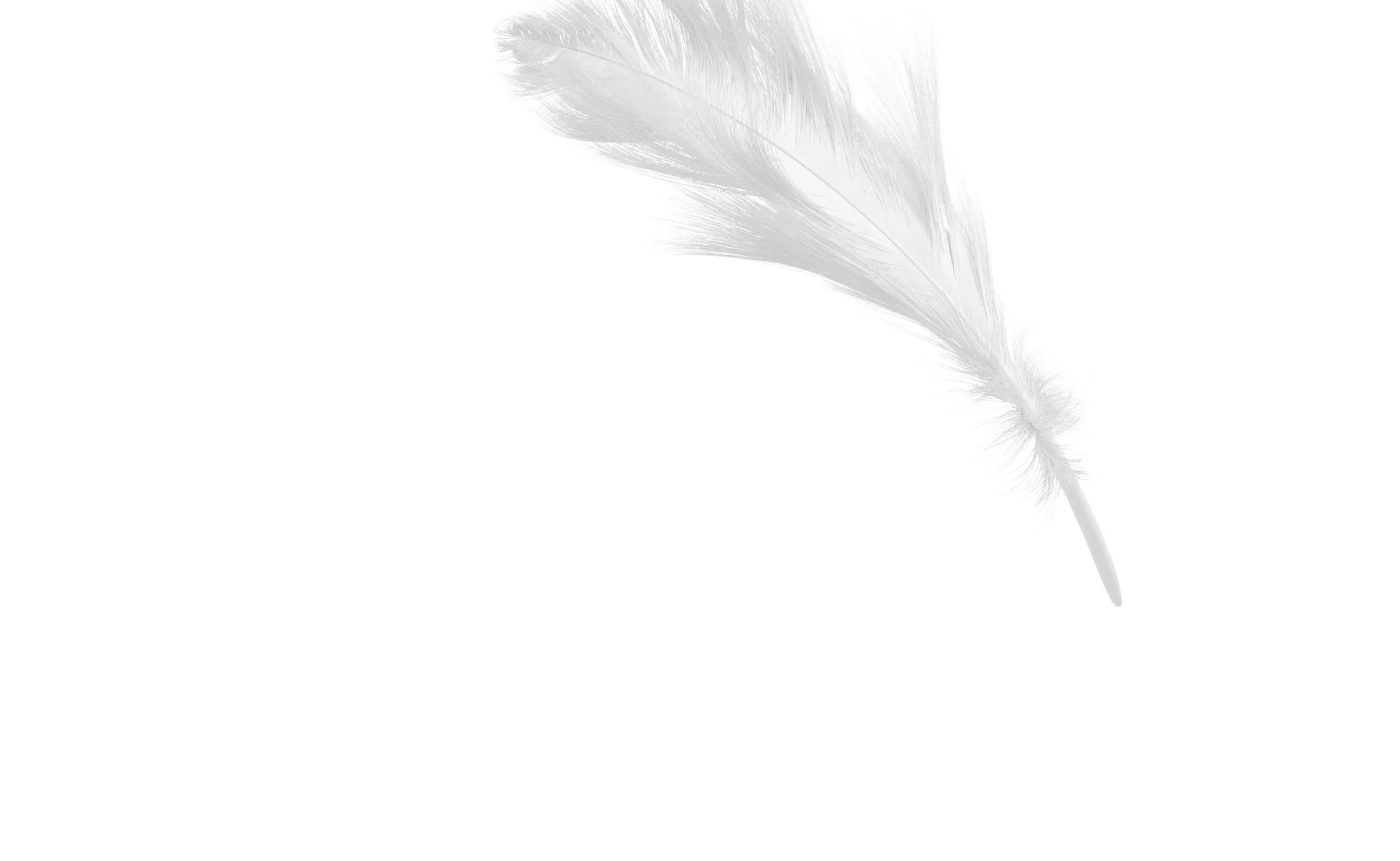 Light-Feather-BG.jpg