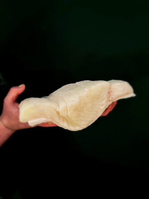 Halibut Fillet