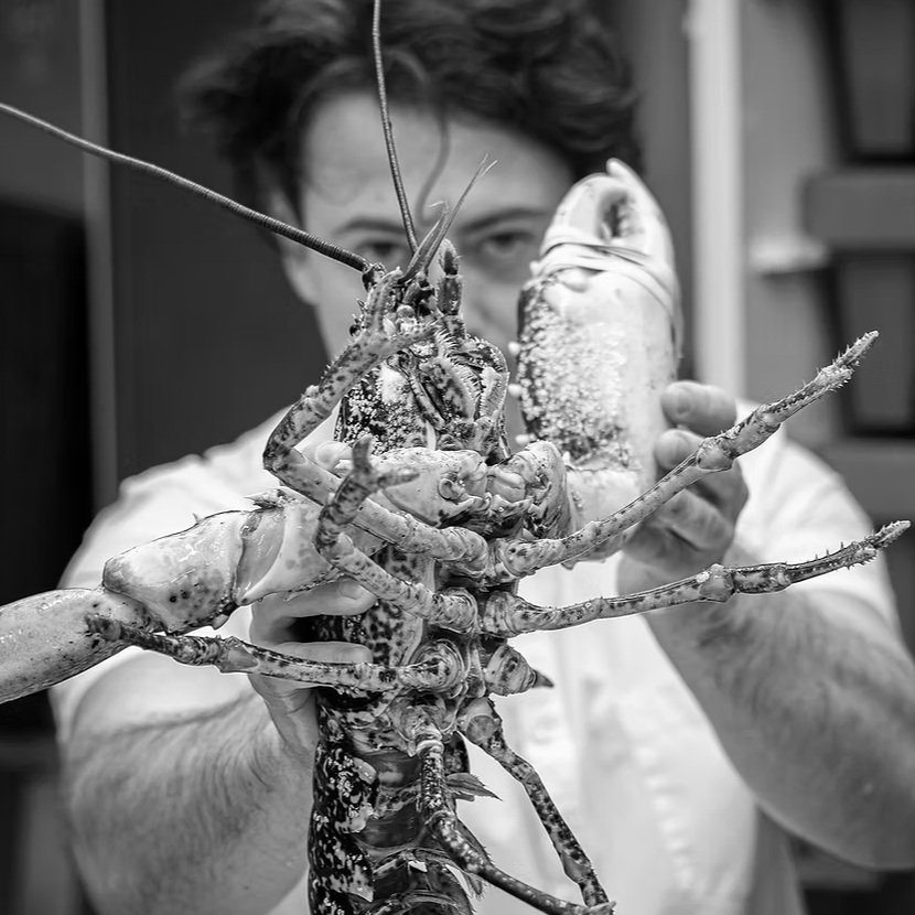 Beynon+Lobster.jpg