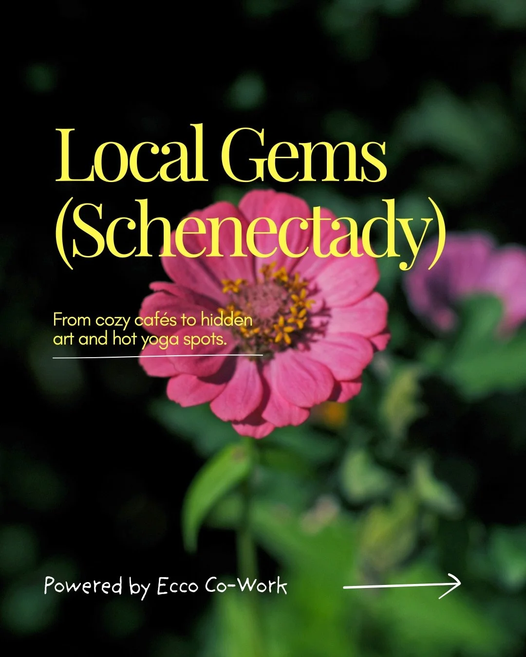 There&rsquo;s so much more to Schenectady than people realize. From little coffee shops and local bookstores to yoga studios, hidden gems, and beautiful places to slow down for a while, these are a few spots that make this area feel special to us.

W