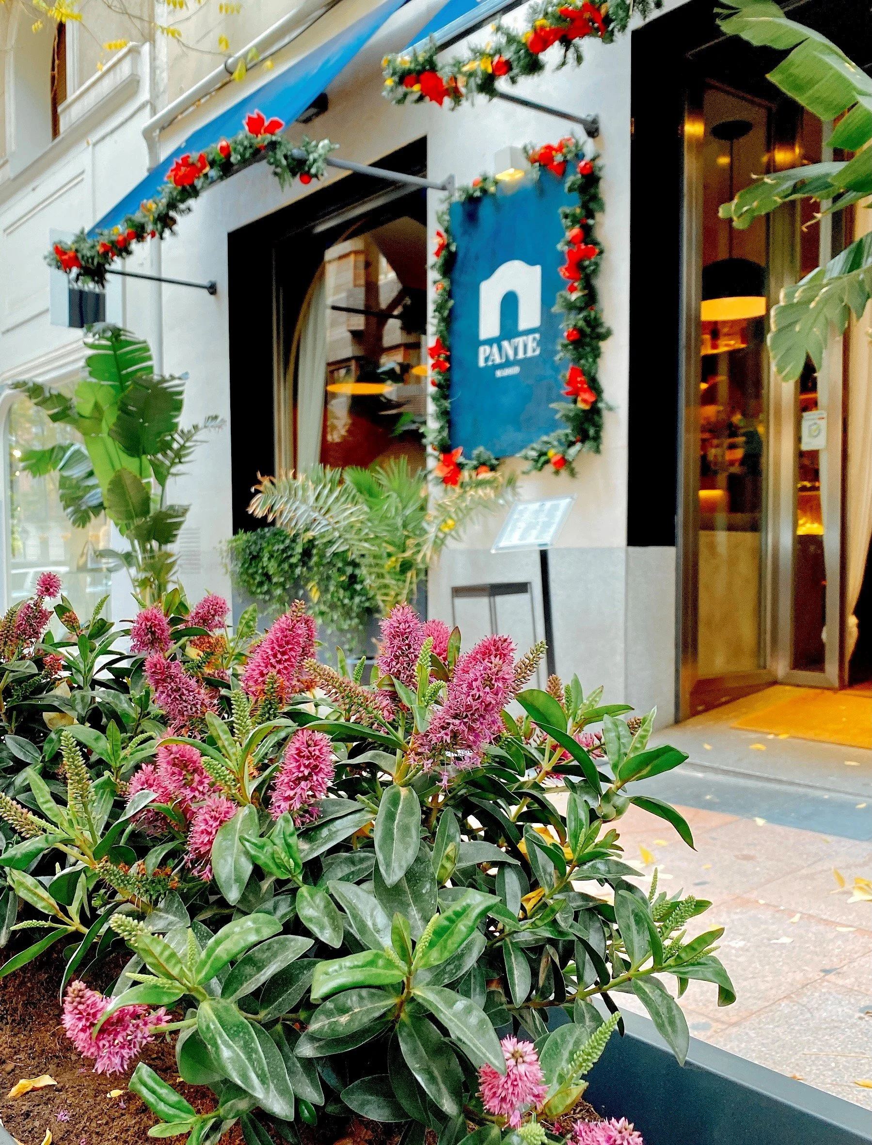 Navidad - Christmas 2021