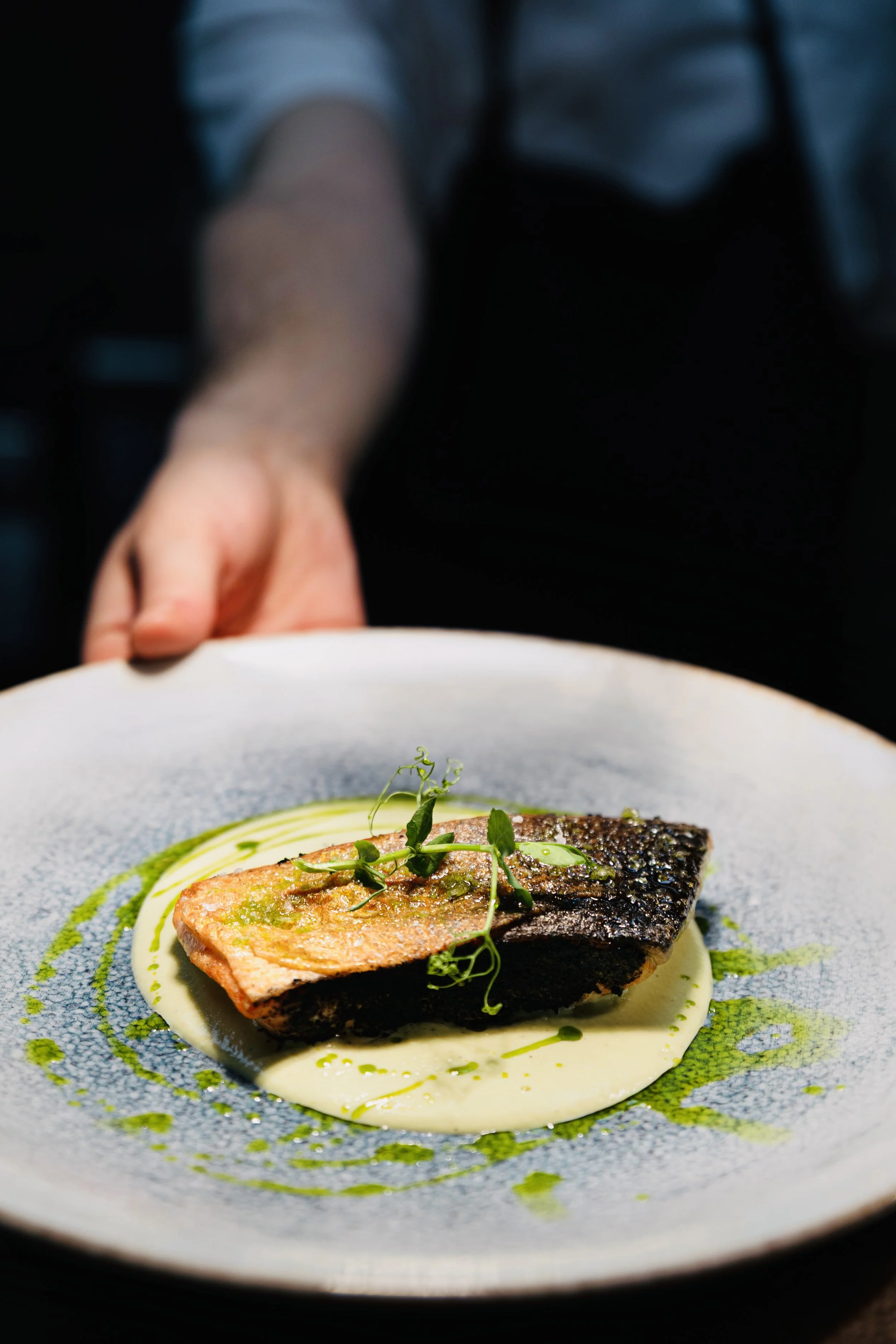 Salmon Cipolla 4.jpg