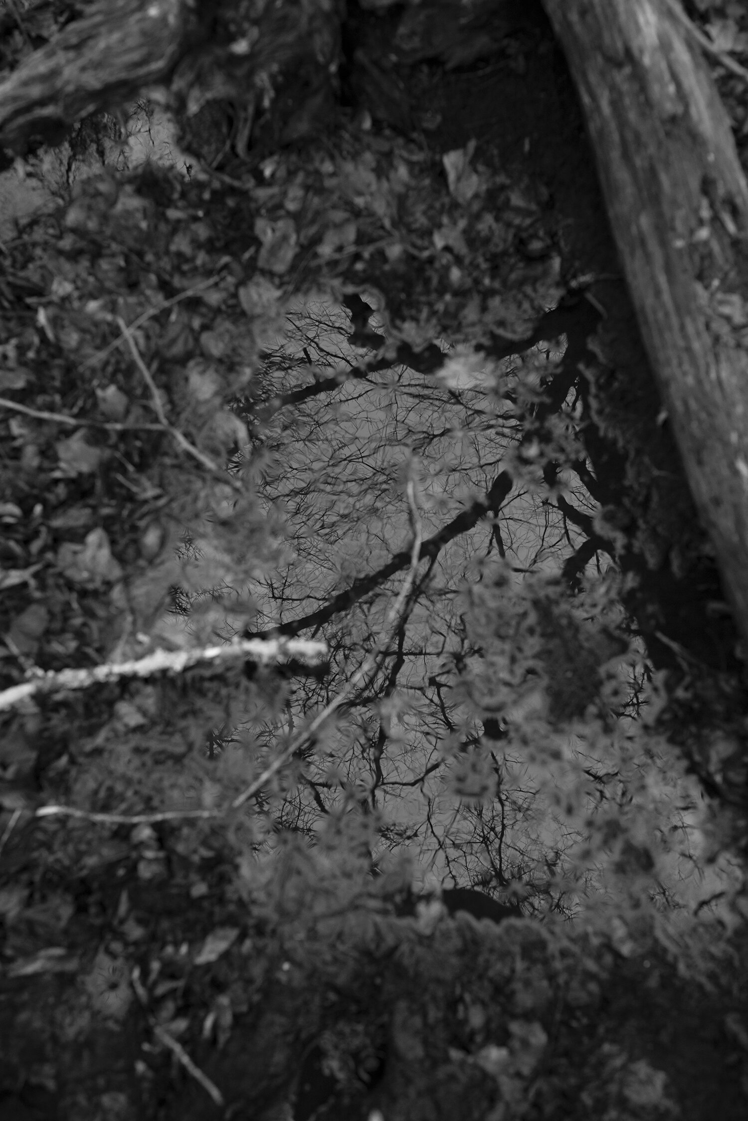 Void Presence 4 (2/2) - Julia Matejcek, $175