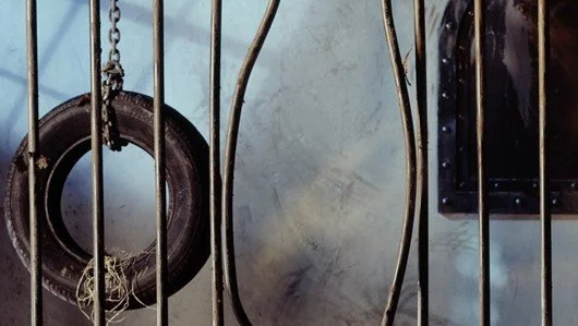 Government Legislation Violates Human Rights – Time to Get Out of the Cage!