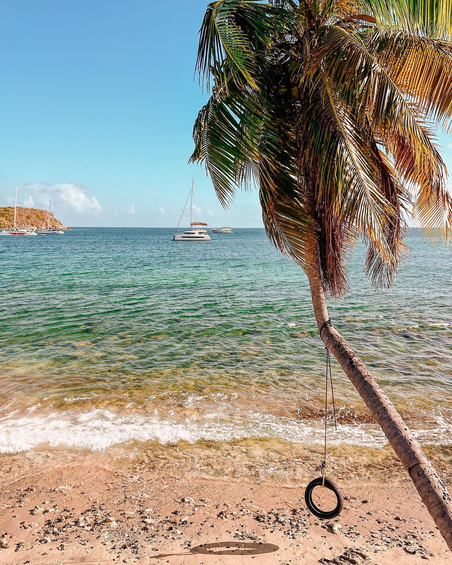 swinging on sun beams 

#vieques #viequesisland #puertorico #islandlifestyle #palmtreesfordays #vacationmodeon #syracusebrandphotographer #syracusephotographer #syracusephotography #syracuseny #brandphotography