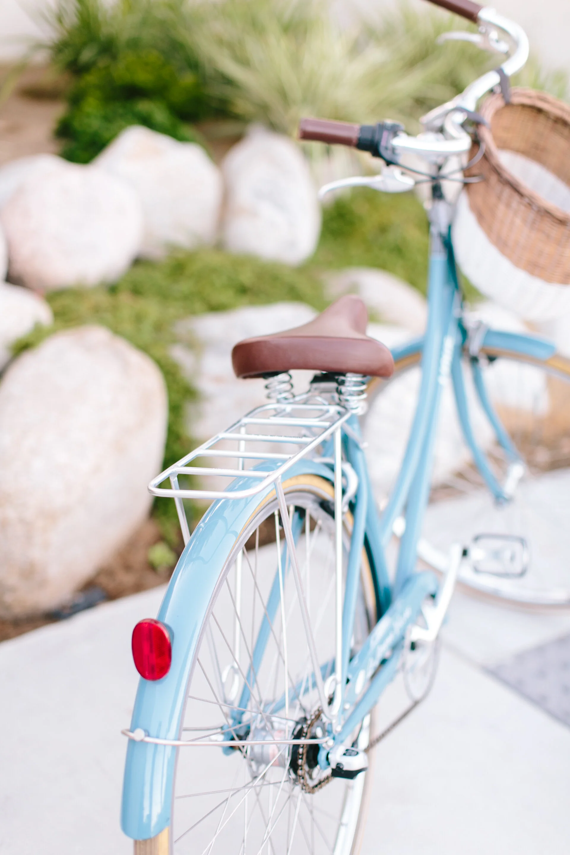 3593324-SC Gallery-02-2021-Issue 11-02.JPG