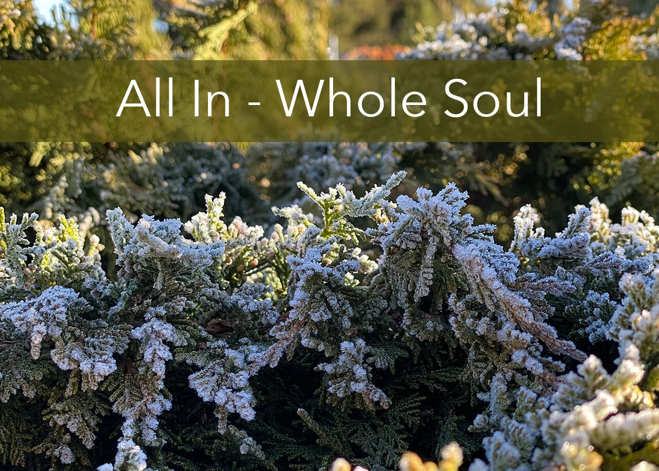 All In - Whole Soul
