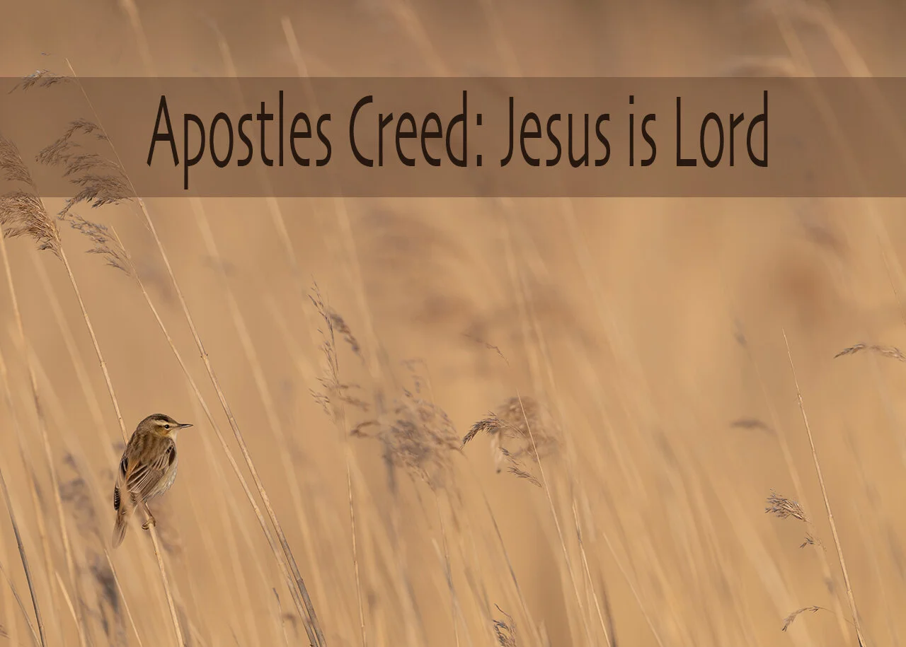 Apostles Creed: Jesus is Lord