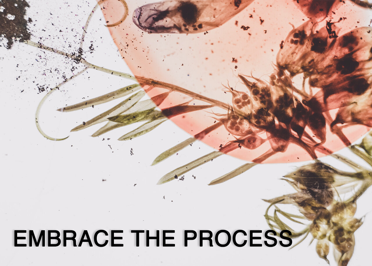 Embrace the Process