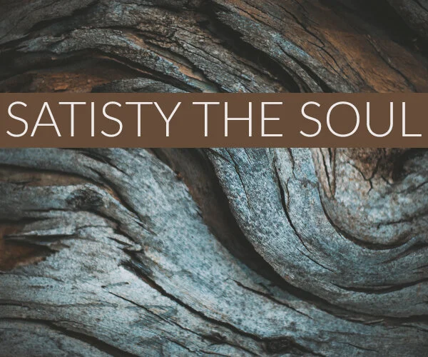Satisty the Soul