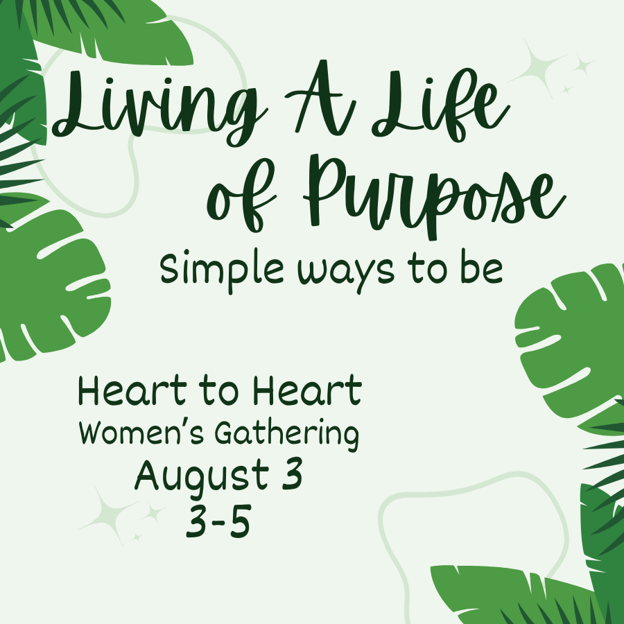 August H2H