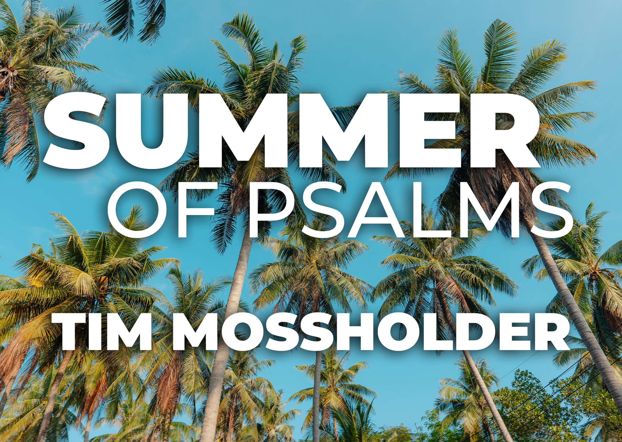 Summer of Psalms - Tim Mossholder