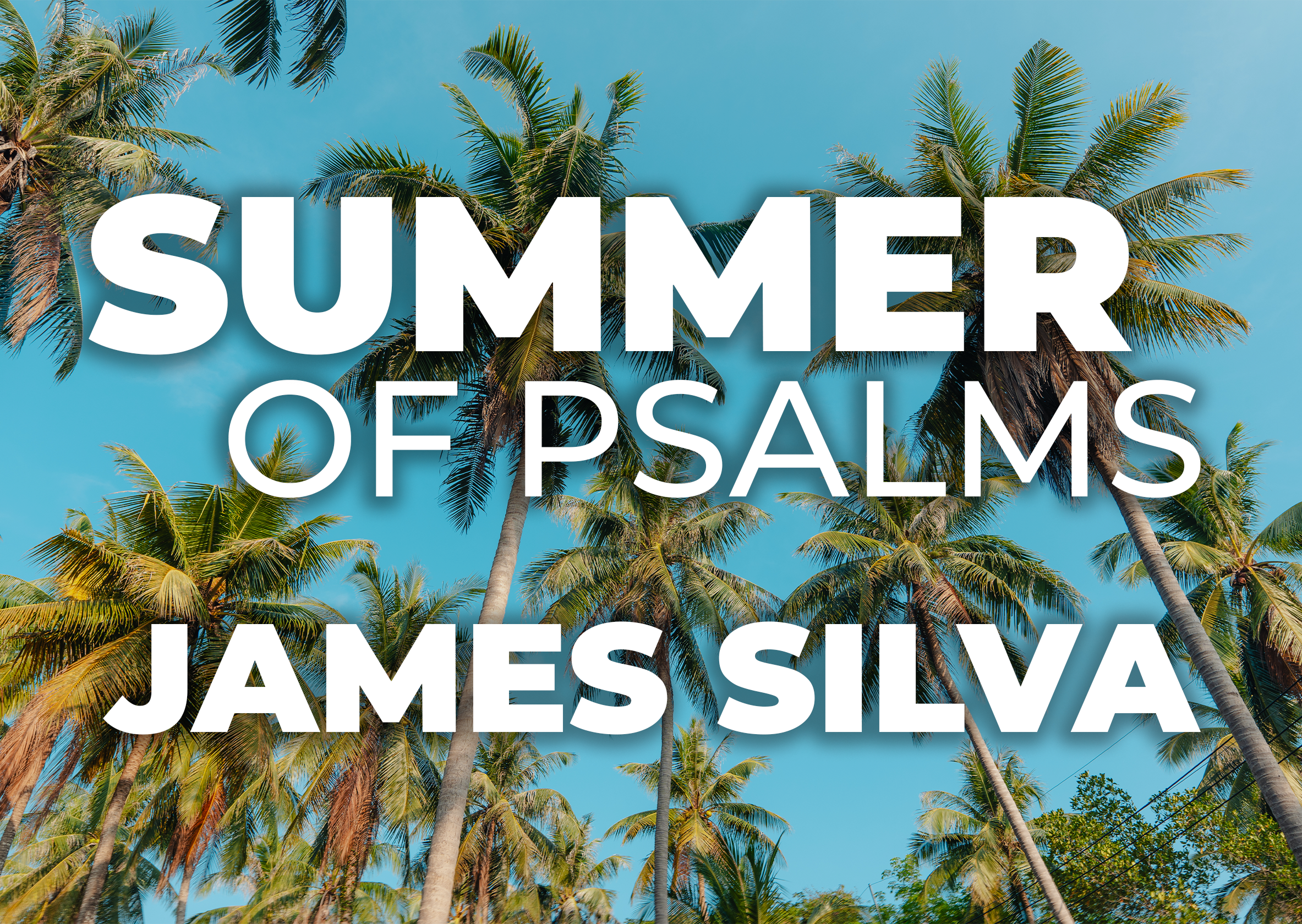 Summer of Psalms - James Silva