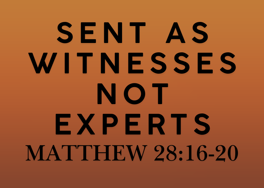 Sent as Witnesses Not Experts