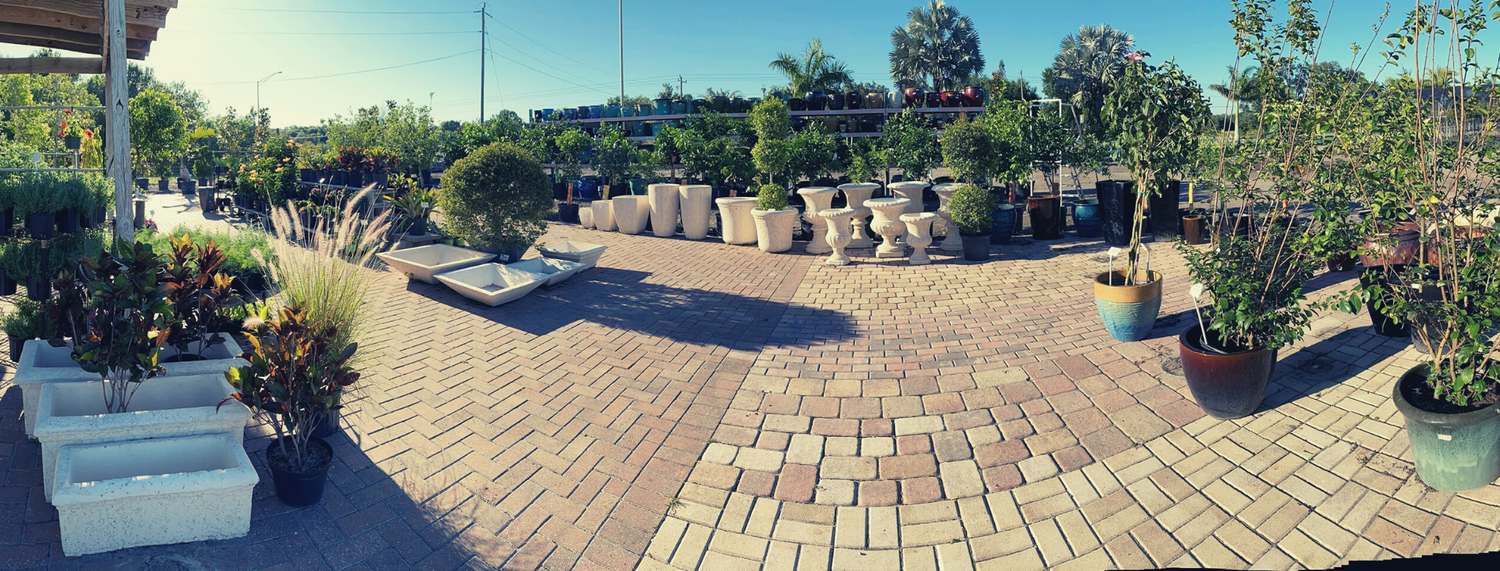 Brewer's Nursery in Bradenton, FL