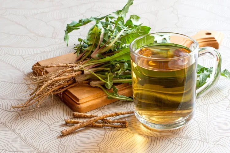 The Rooted Self: Cultivating Well-being Through Herbal Wisdom