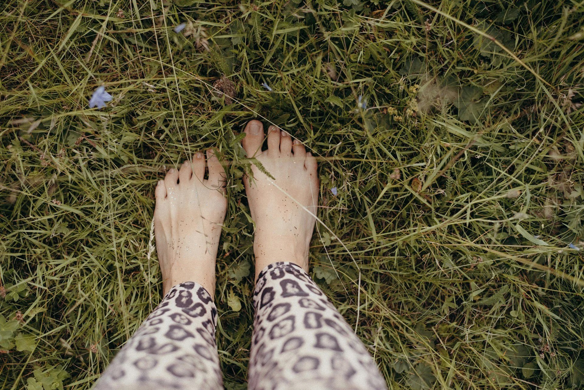 Earthing, Fresh Herbs &amp; Upcoming Events