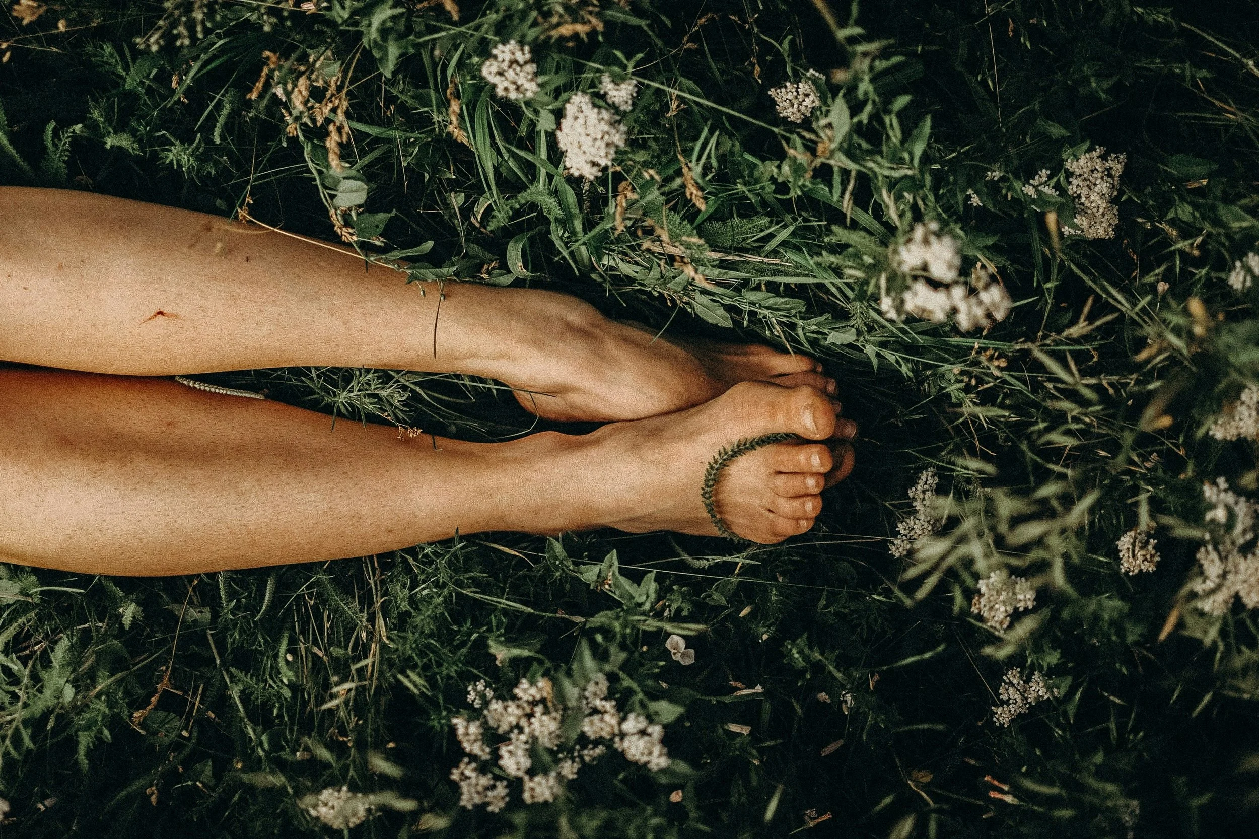 The Rooted Self: Cultivating Well-being Through Herbal Wisdom
