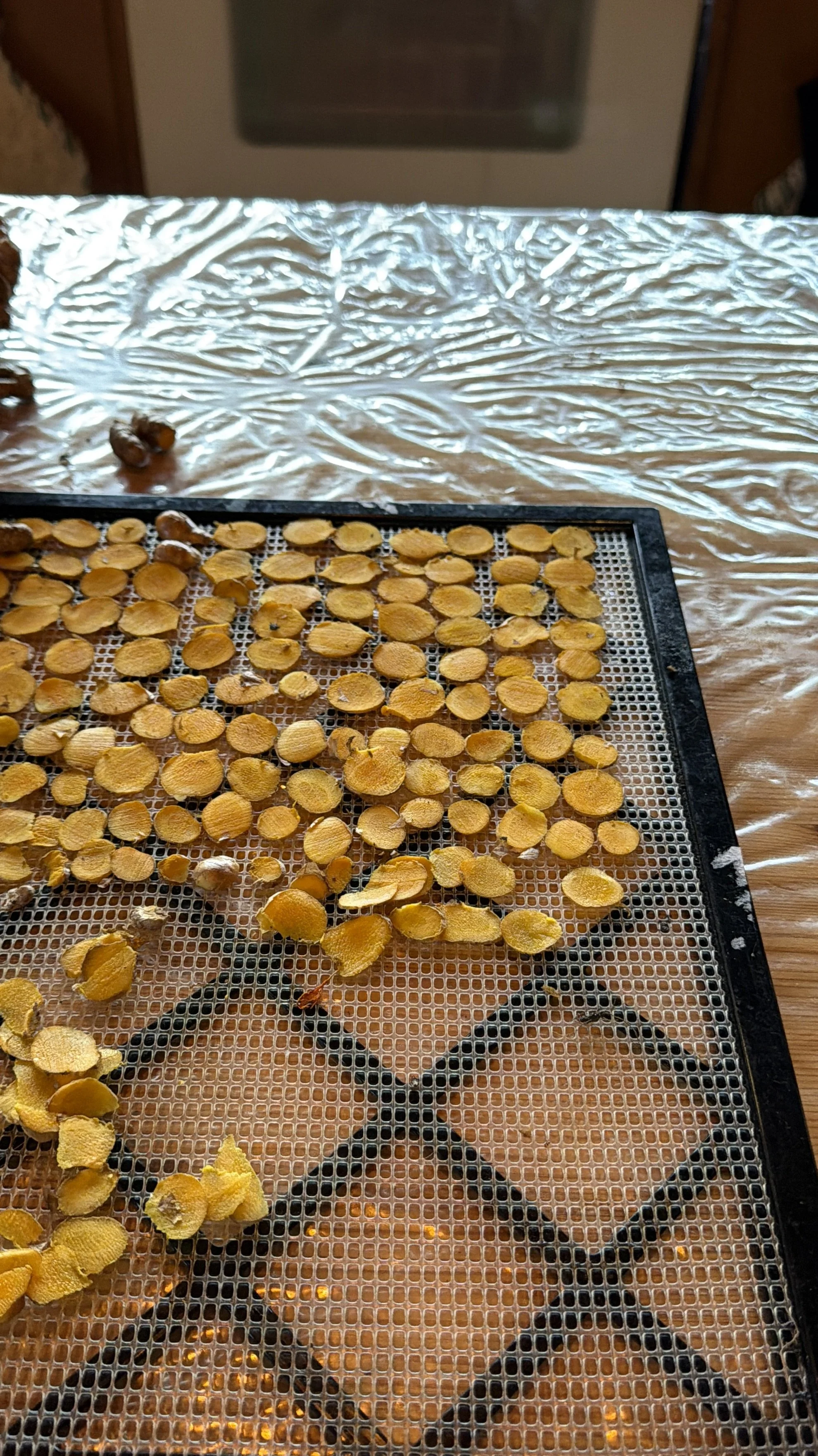 2-2026 sent photo of farm grown turmeric.JPG