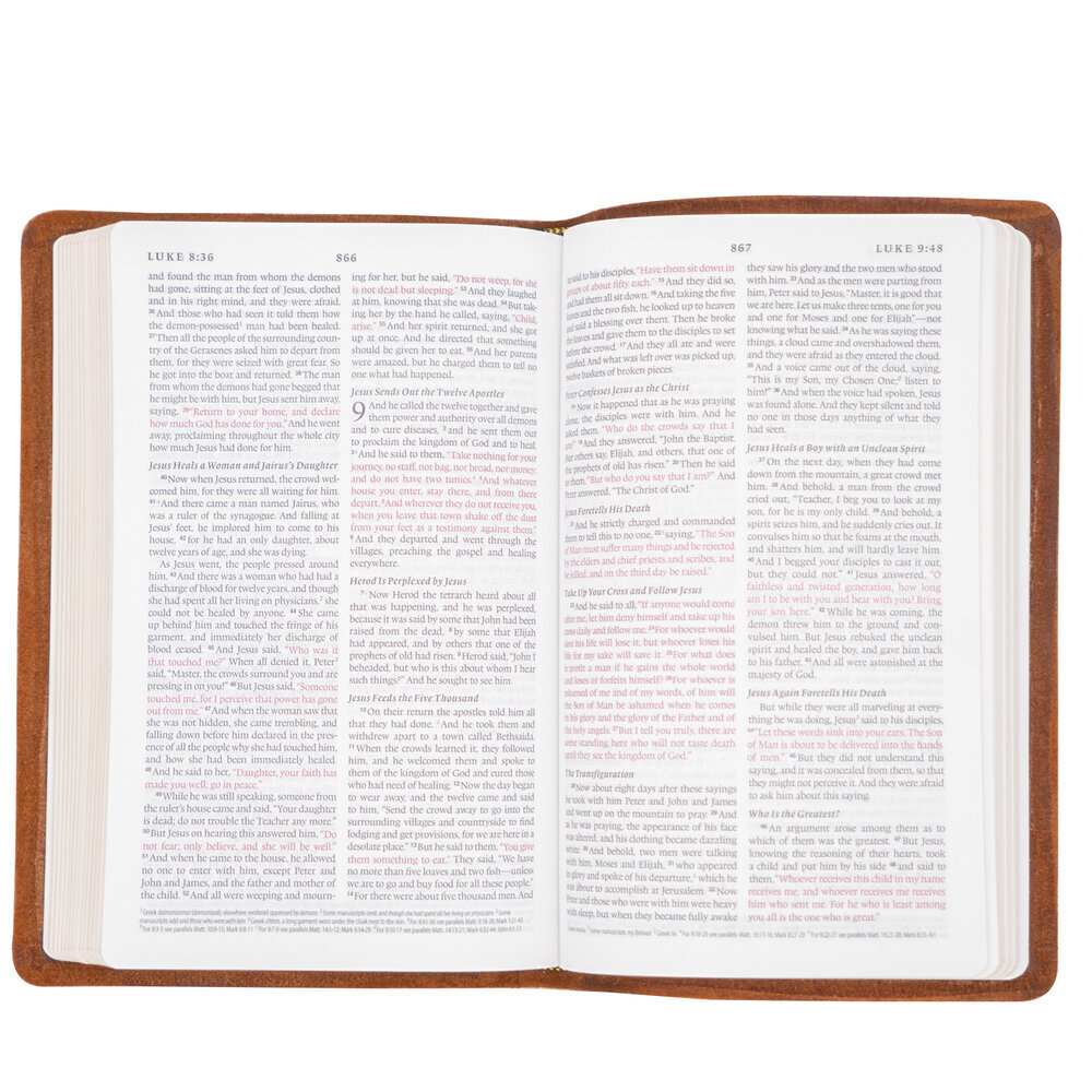 small esv bible