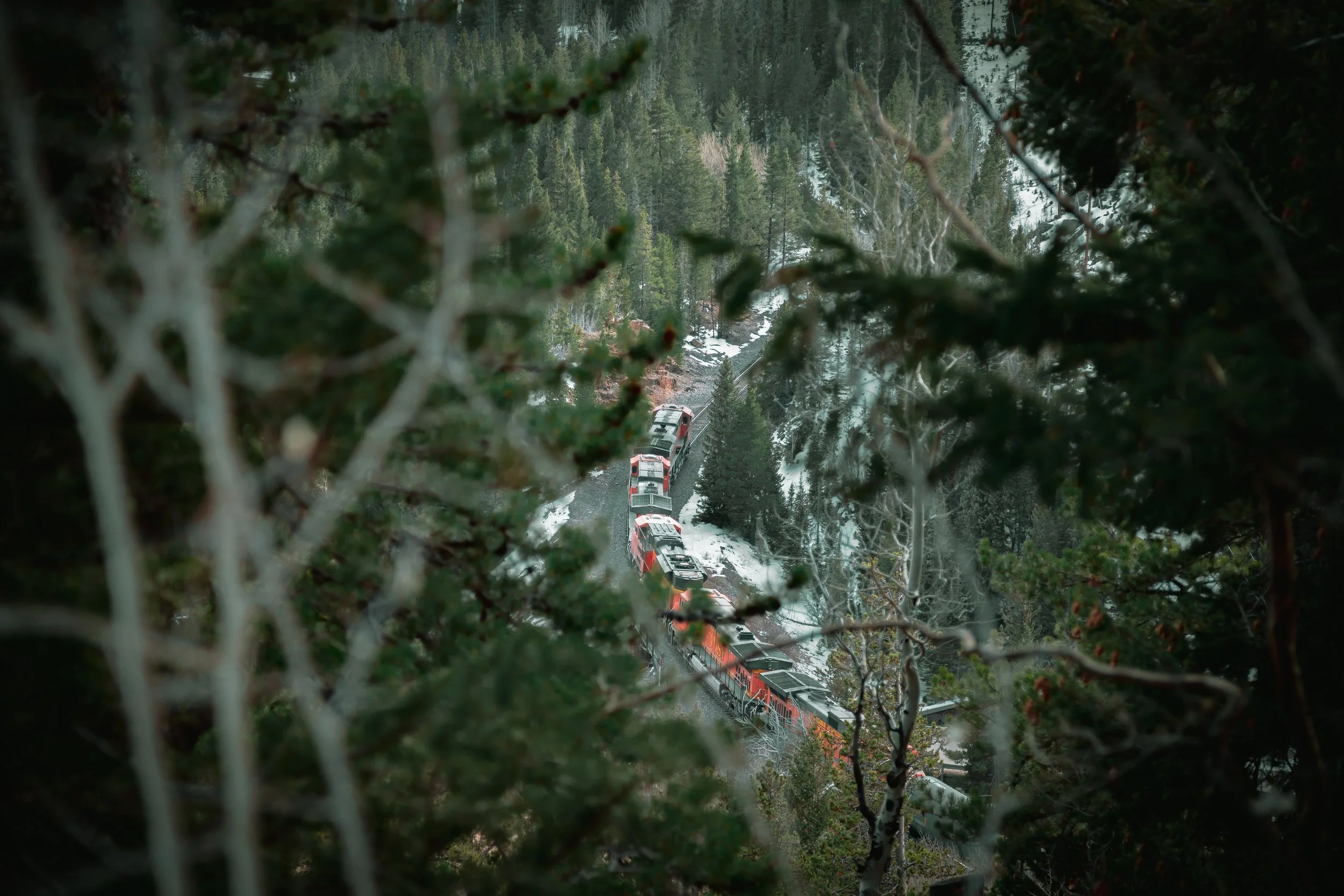 Train Through Forest.jpg