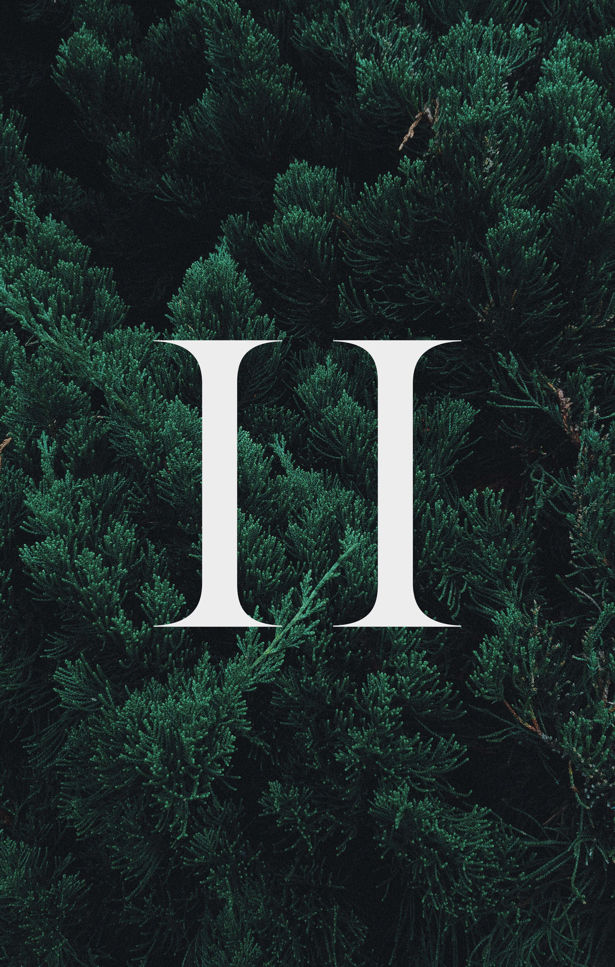 H.jpg