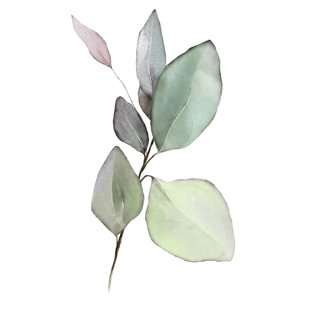 Website Images.png
