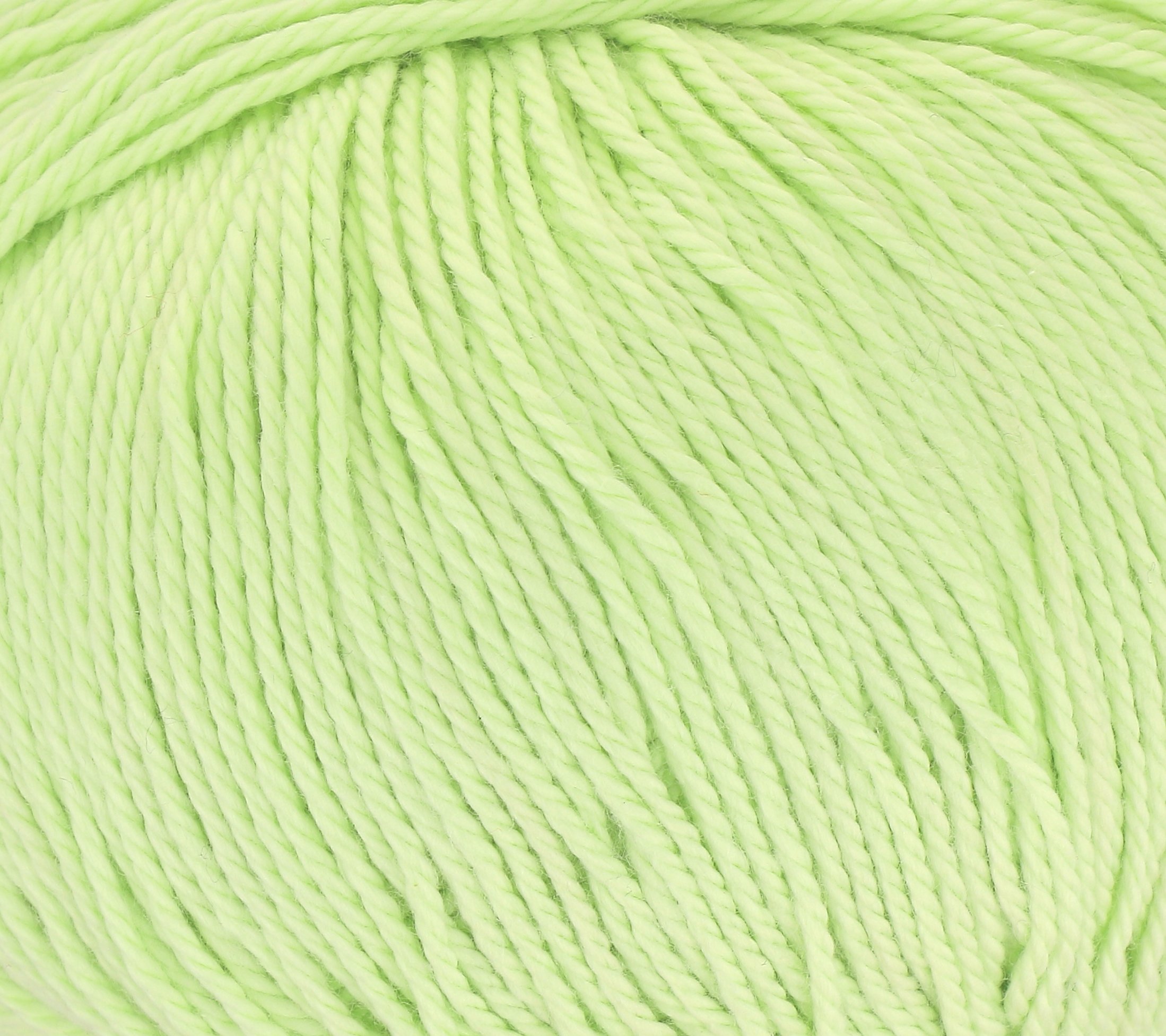202_CELERY_1.jpg