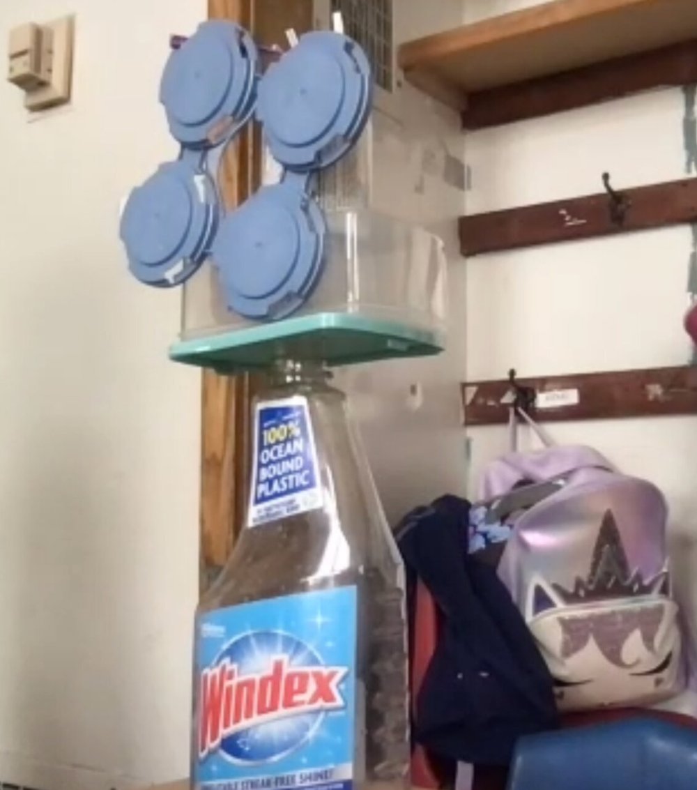 Screen Shot 2021-05-07 at 11.33.53 AM.jpeg