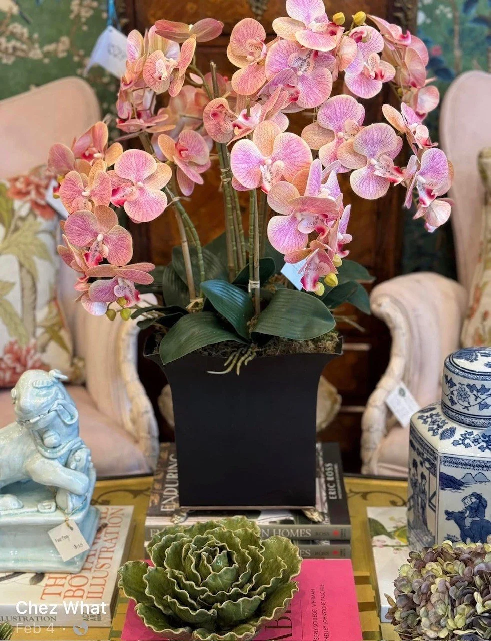 Orchid 2.jpeg