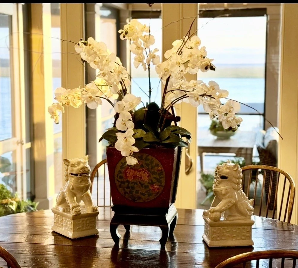 orchid7.jpeg