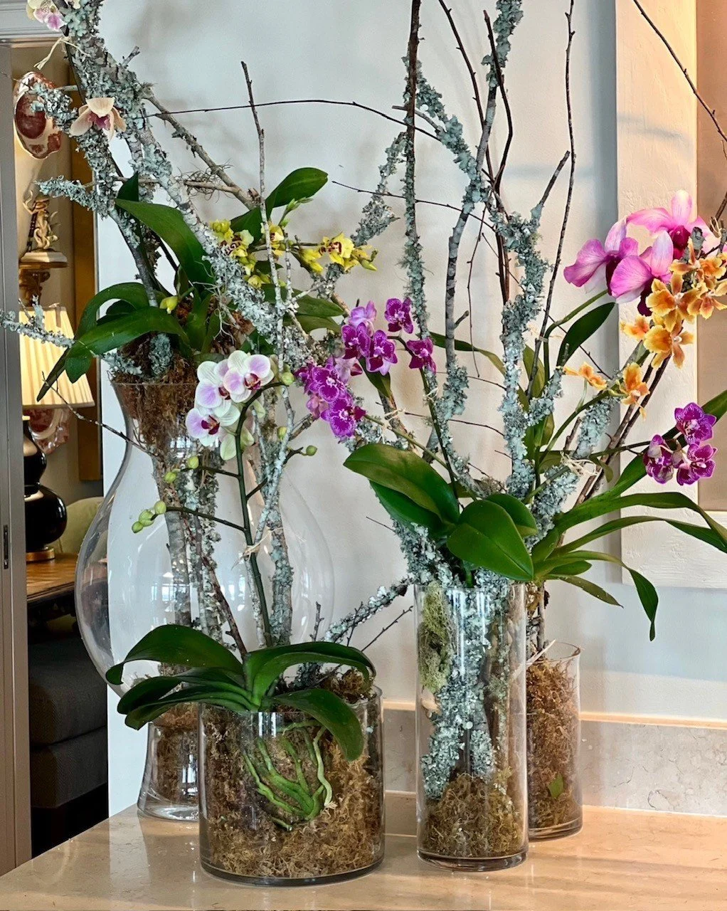 live orchids on branches 1.jpeg