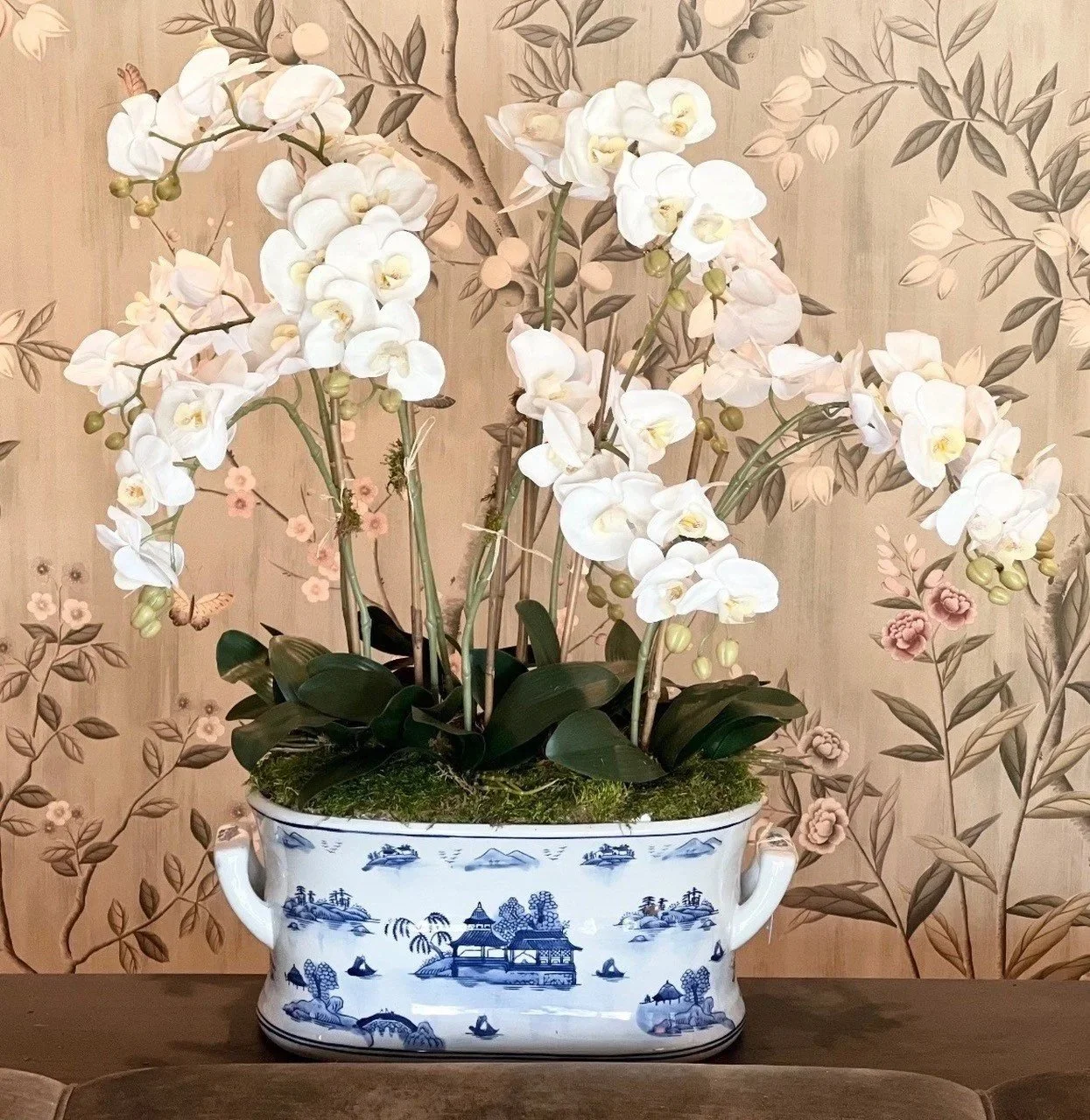 orchid+8.jpg