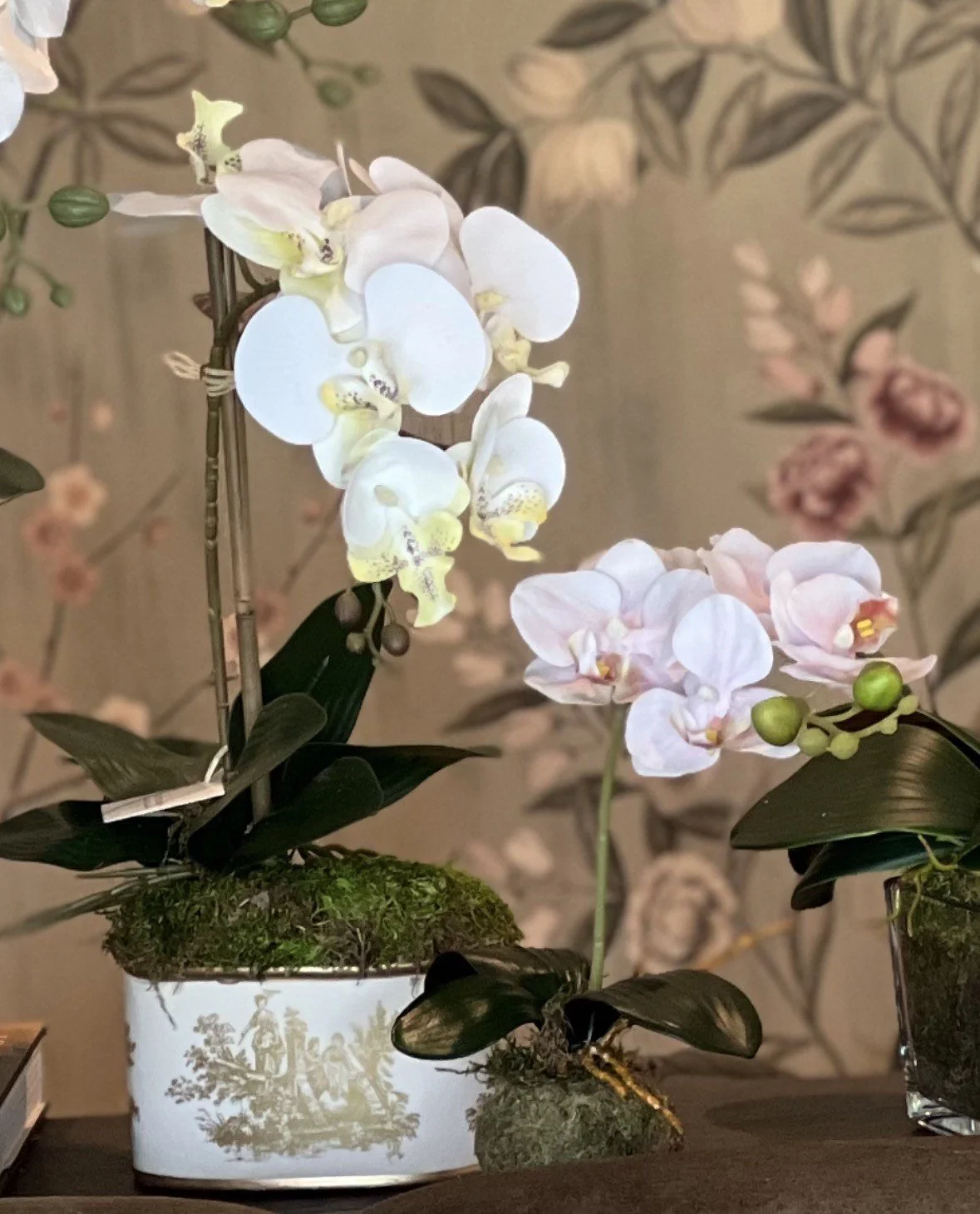 orchid 3.jpeg