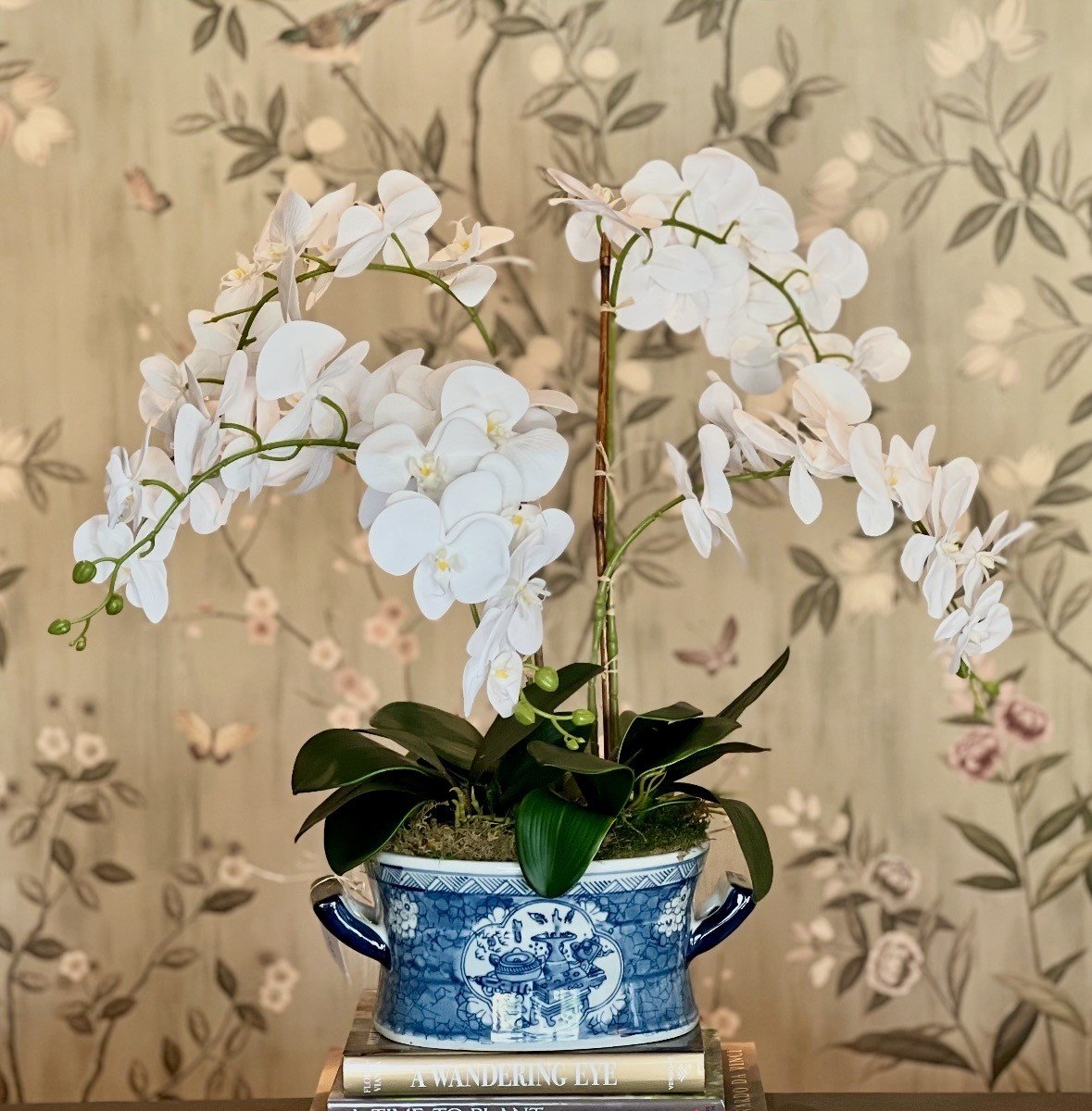 orchid9.jpeg