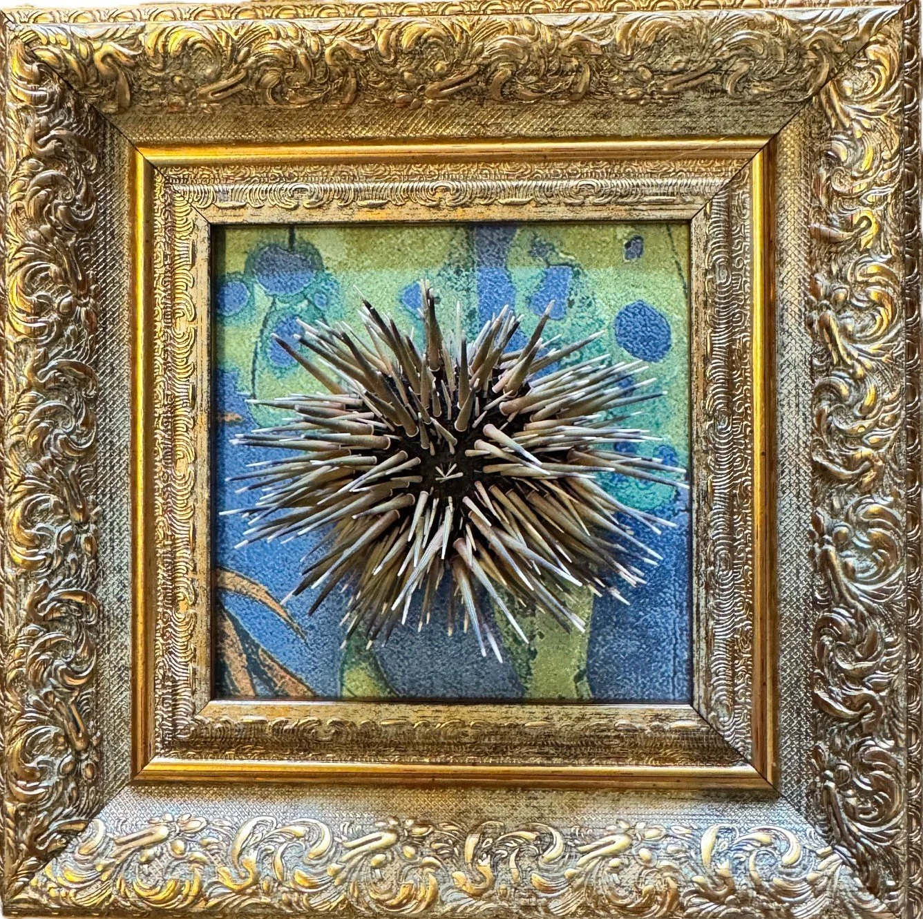 Sea Anemone, $55