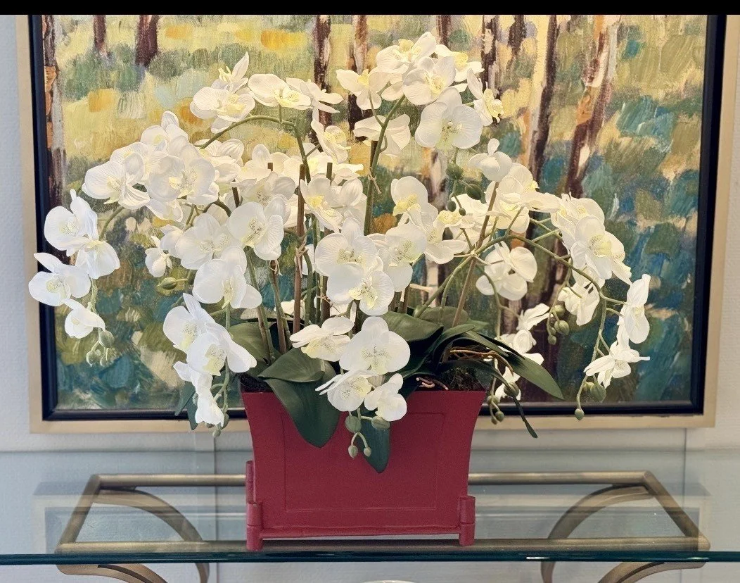 orchid 12 also.jpeg