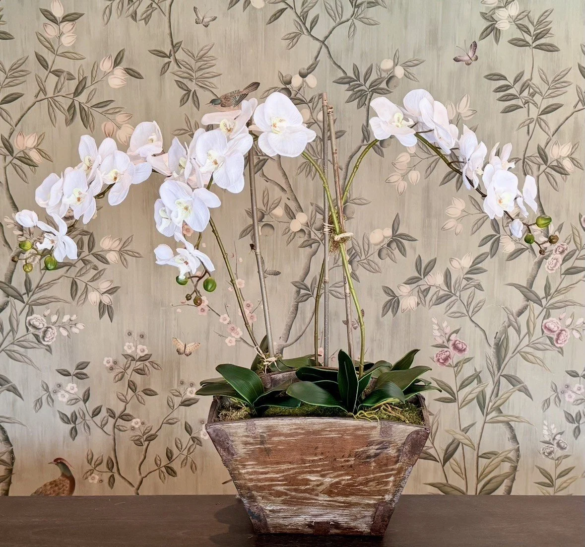 orchid 6.jpeg