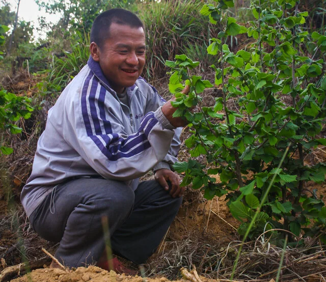 Social Impact — Mountain Hazelnuts