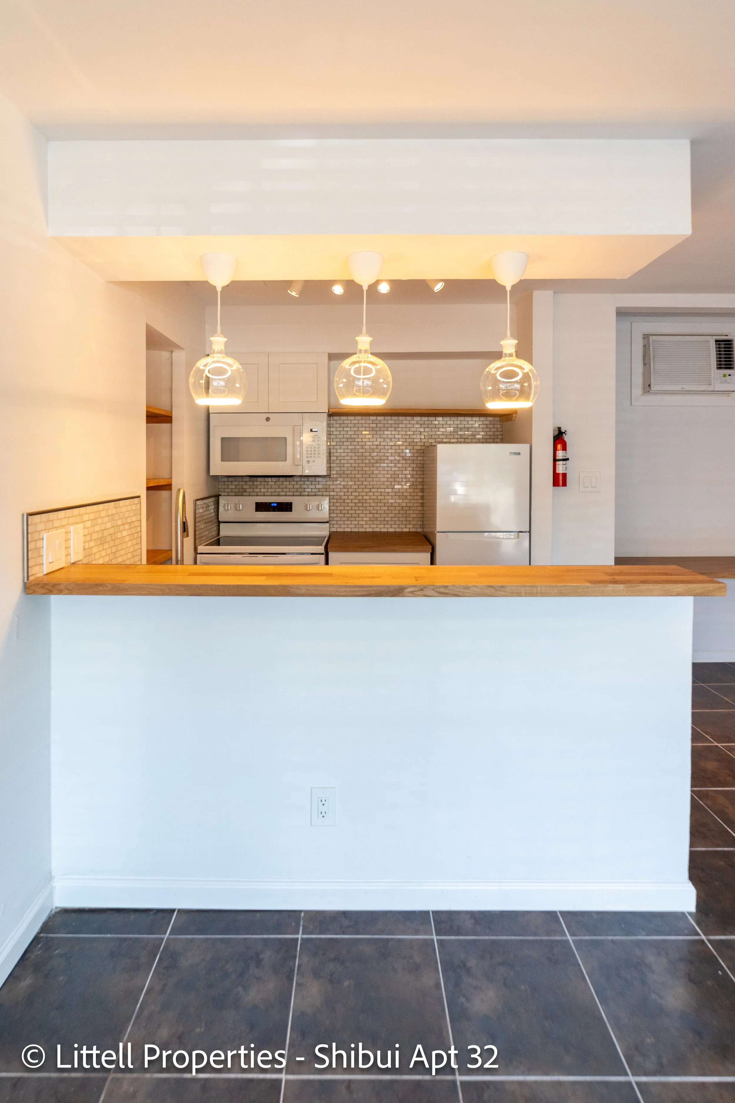 Shibui-Apt-32-3.jpg