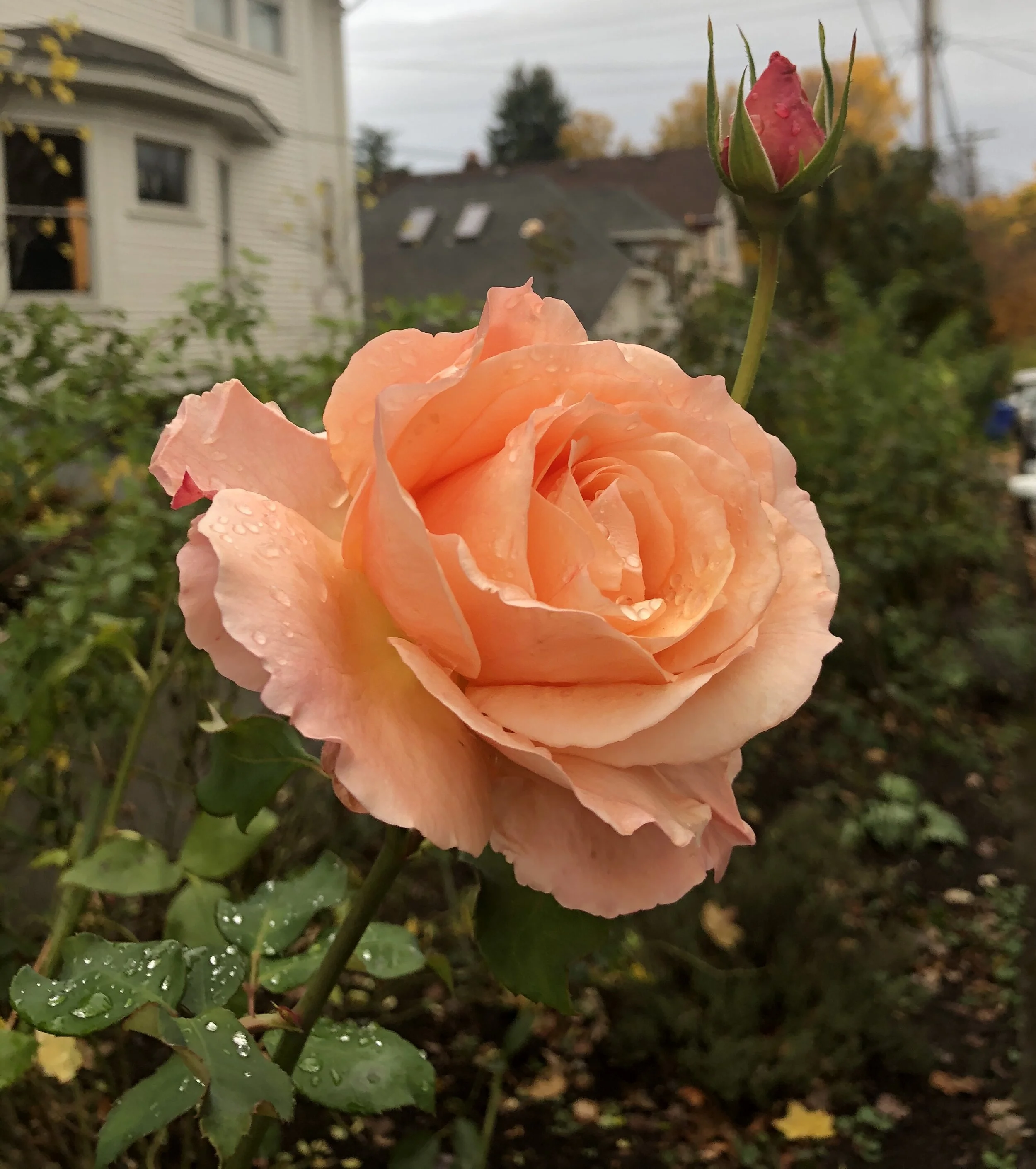 How to Be a Patient Advocate