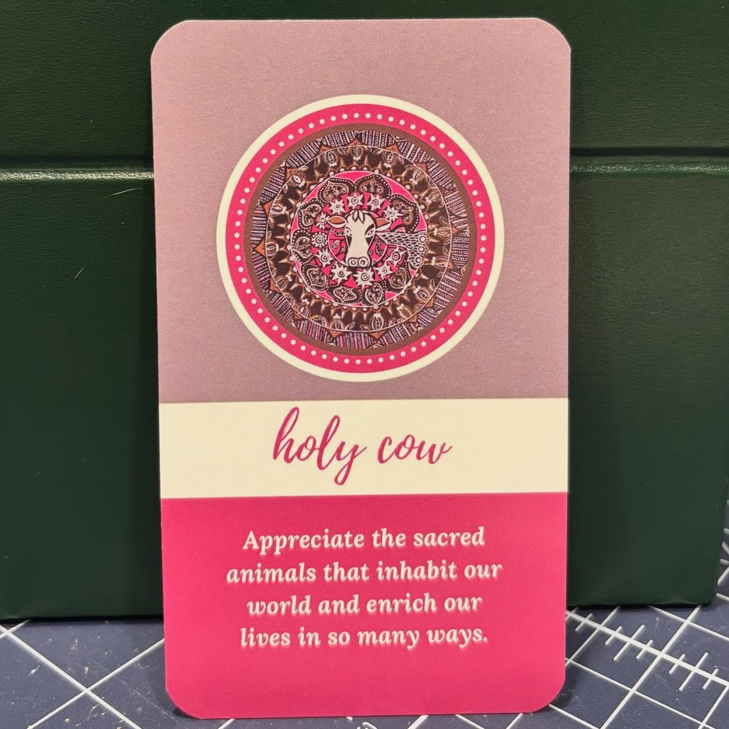 Happy Monday everyone! I pulled this card from my homemade mandala deck today. It's the "Holy Cow" card, and says to "Appreciate the sacred animals that inhabit our world and enrich our lives in so many ways." It's a beautiful day