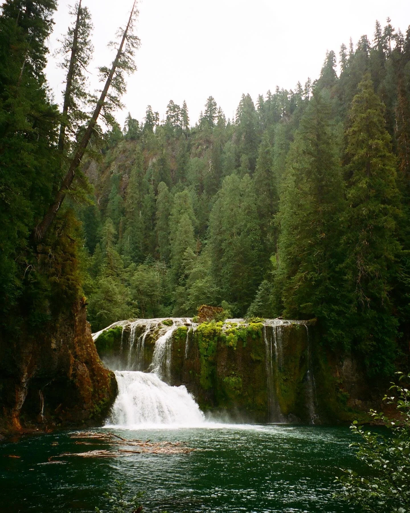 Lewis Falls, July 2020