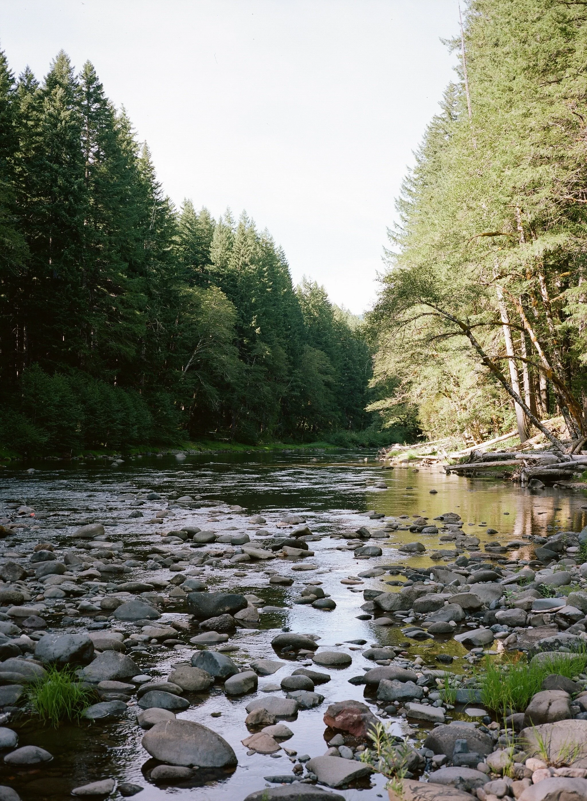 Lower Lewis Falls, August 2020